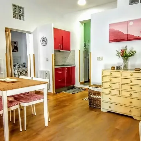 Apartamento Lavapies Al Lado Del Rastro-3